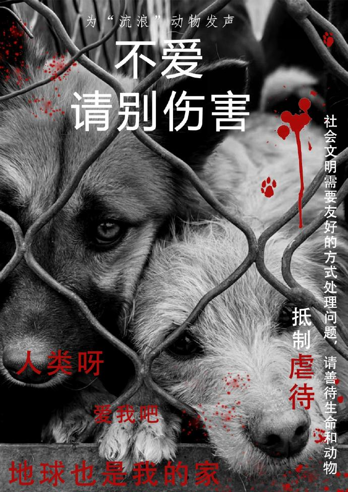 被关在笼子里的动物