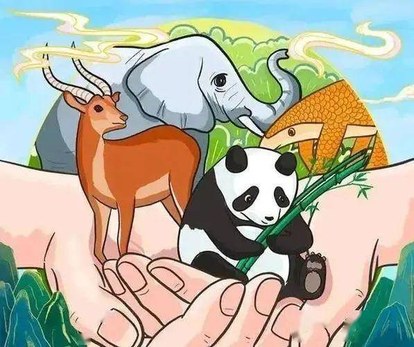 抵制动物产品