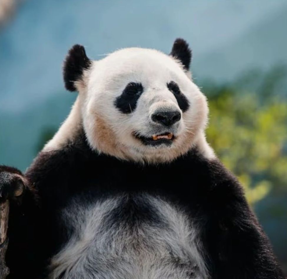 哺乳类